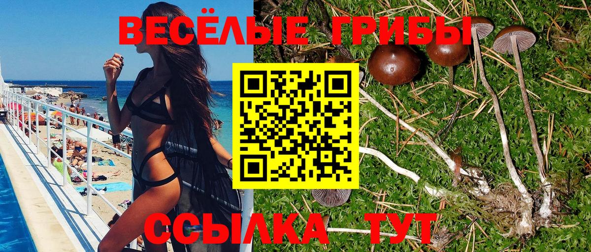 Галлюциногенные грибы MAGIC MUSHROOMS Гуково